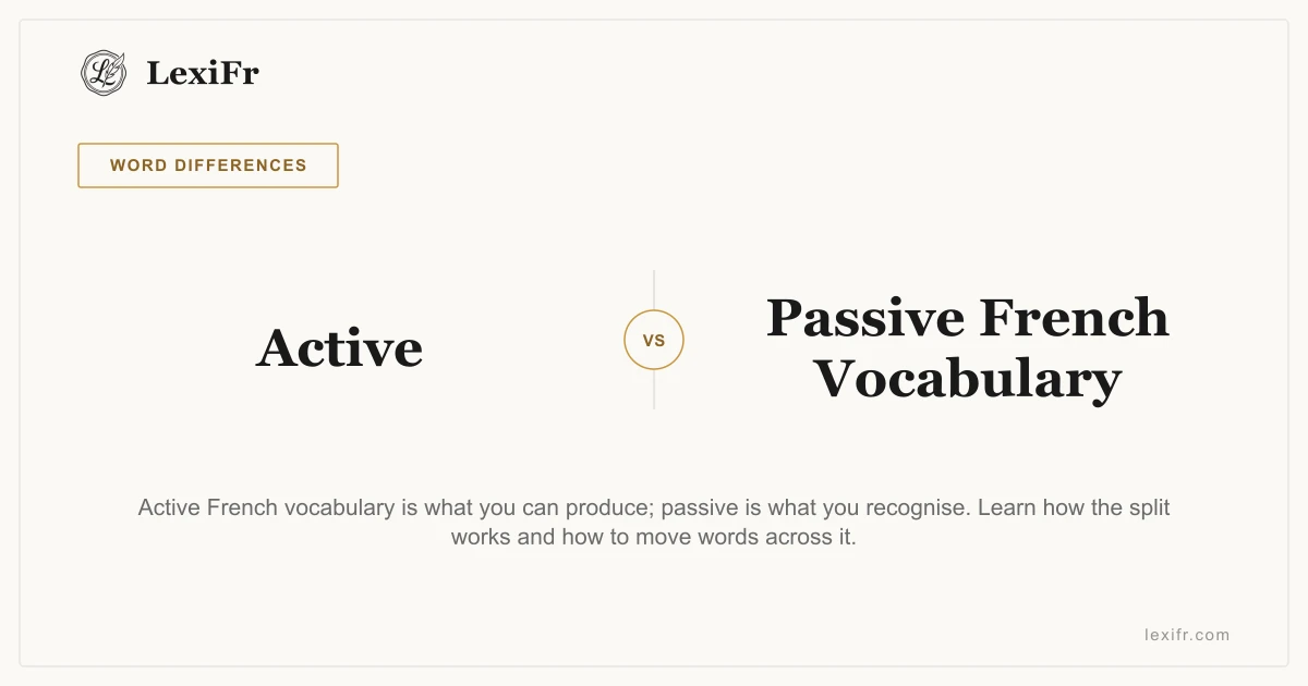 Active vs Passive French Vocabulary: The Split - article illustration