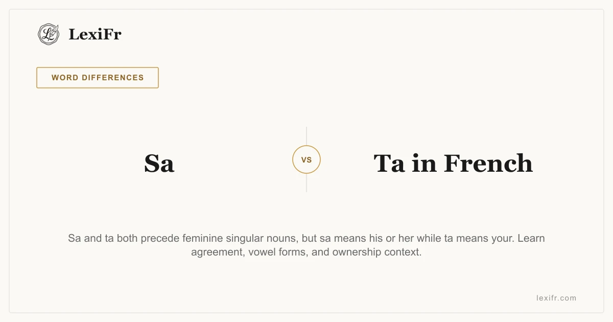 Sa vs Ta in French: What is the Difference? - article illustration