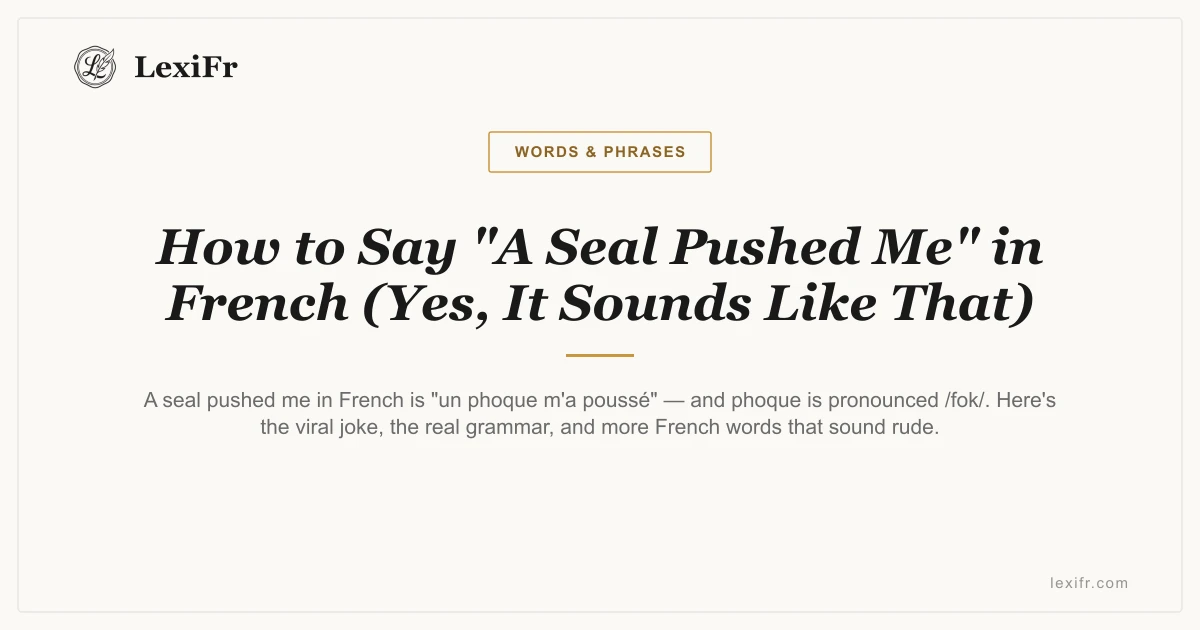 How to Say "A Seal Pushed Me" in French (Yes, It Sounds Like That) - article illustration