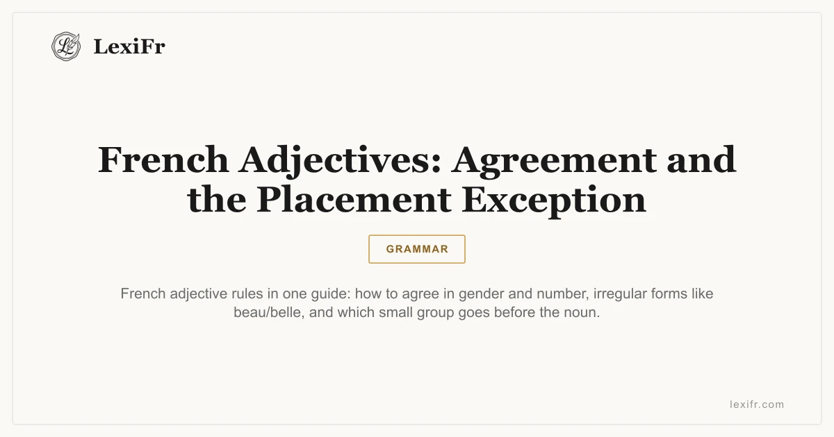 French Adjectives: Agreement and the Placement Exception - article illustration