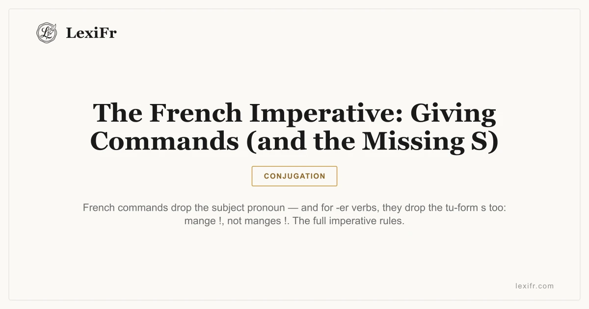 The French Imperative: Giving Commands (and the Missing S) - article illustration