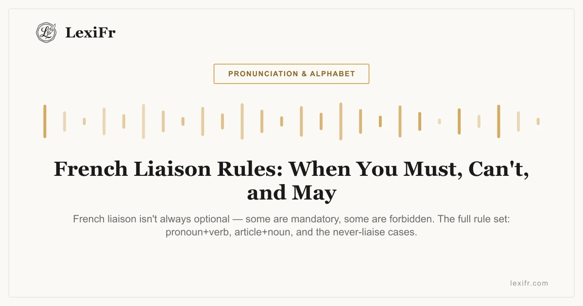 French Liaison Rules: When You Must, Can't, and May - article illustration