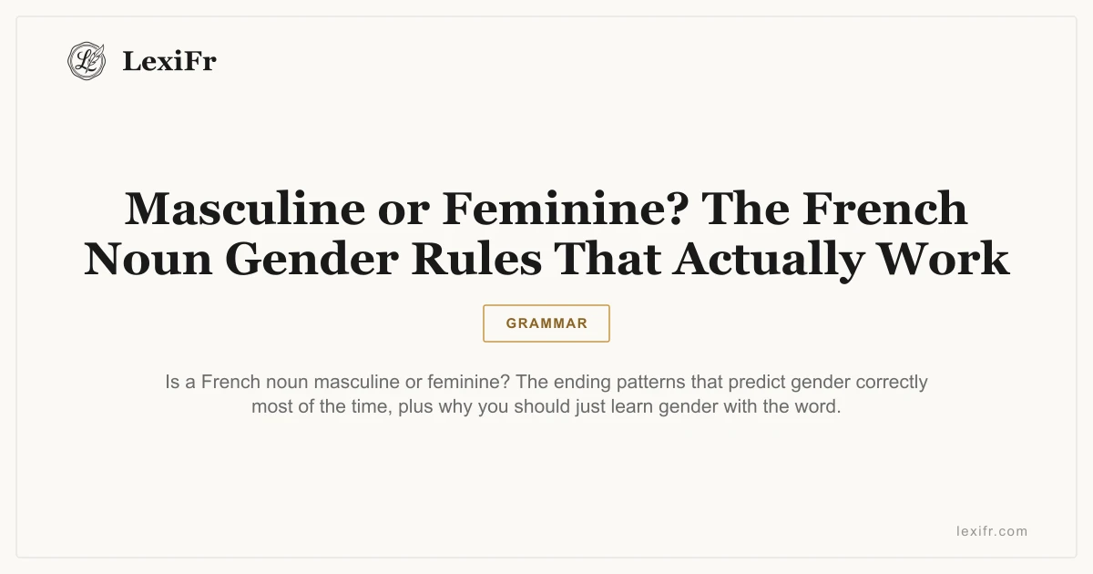 Masculine or Feminine? The French Noun Gender Rules That Actually Work - article illustration
