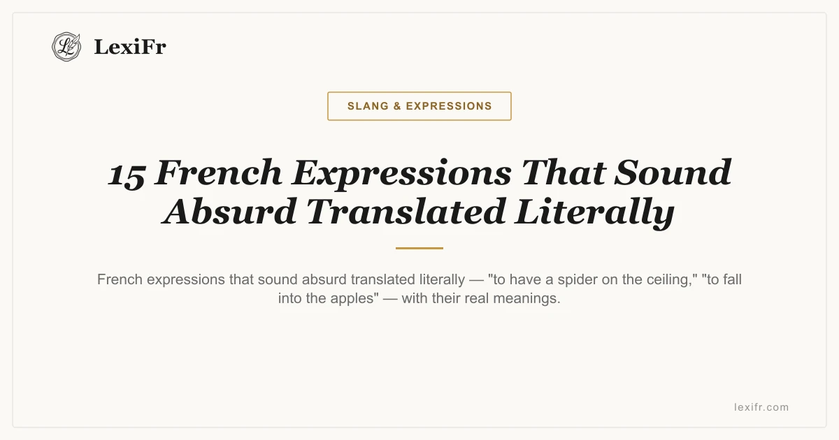 15 French Expressions That Sound Absurd Translated Literally - article illustration