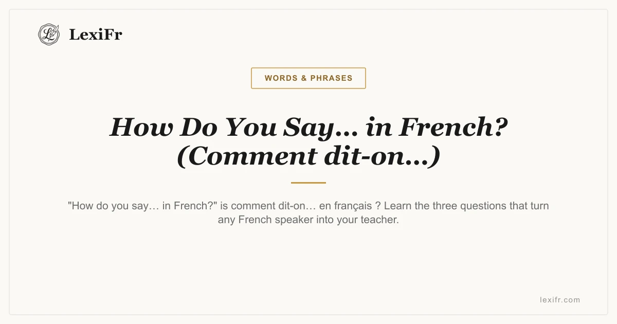 How Do You Say… in French? (Comment dit-on…) - article illustration