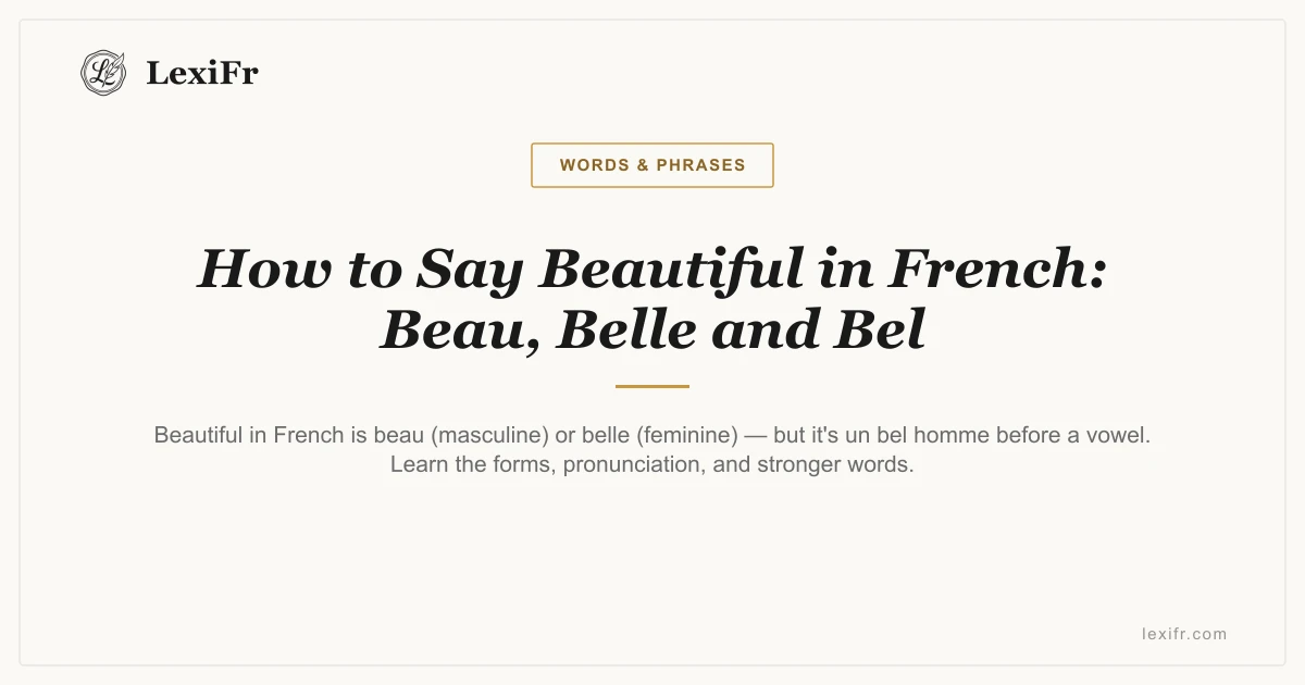 How to Say Beautiful in French: Beau, Belle and Bel - article illustration