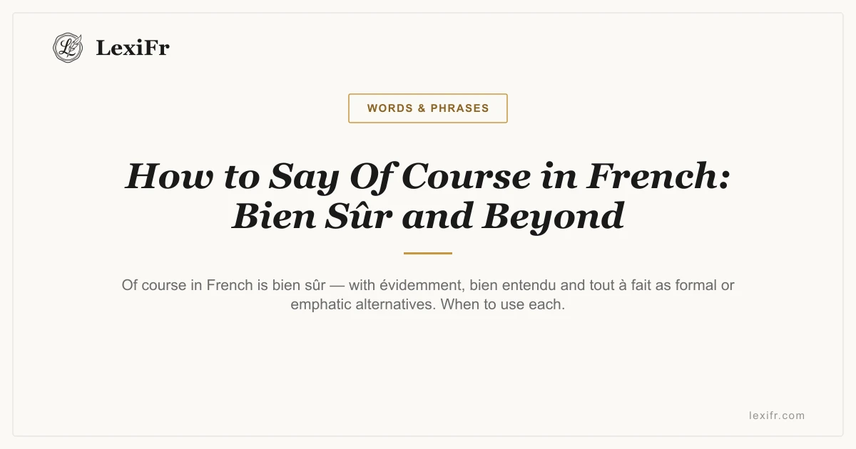 How to Say Of Course in French: Bien Sûr and Beyond - article illustration