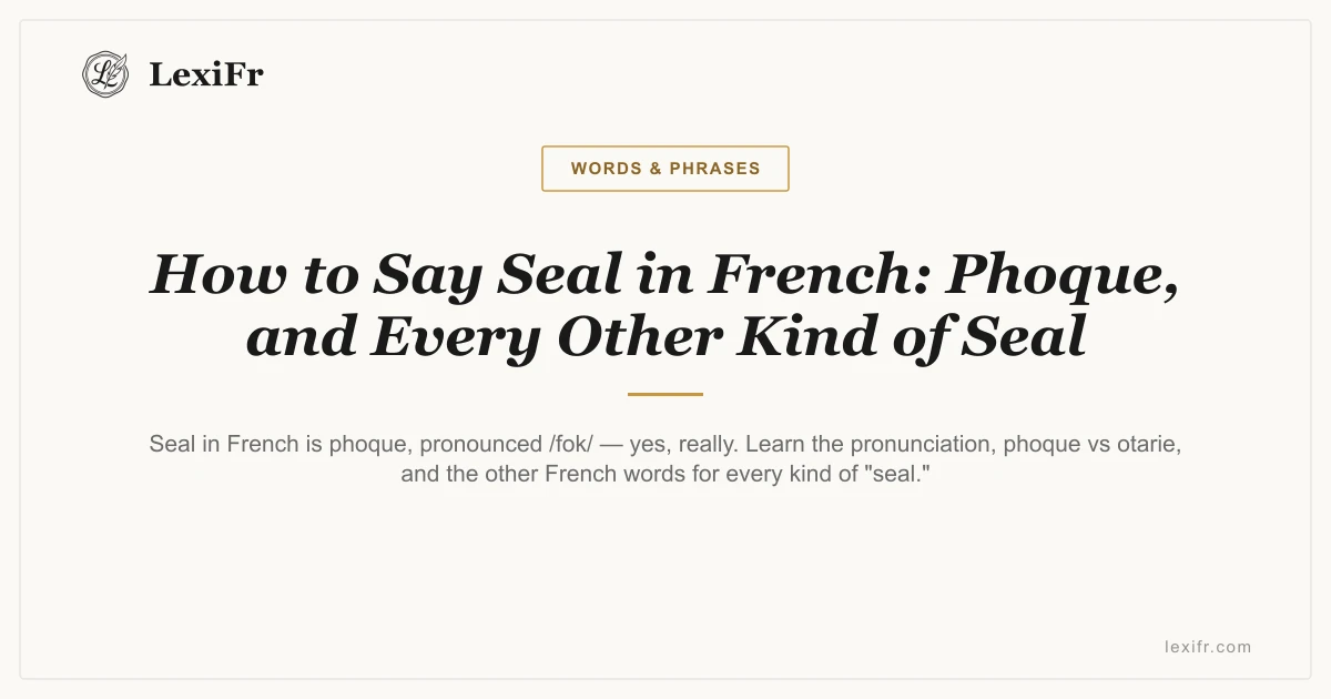 How to Say Seal in French: Phoque, and Every Other Kind of Seal - article illustration