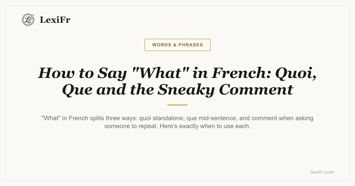 How to Say "What" in French: Quoi, Que and the Sneaky Comment - article illustration