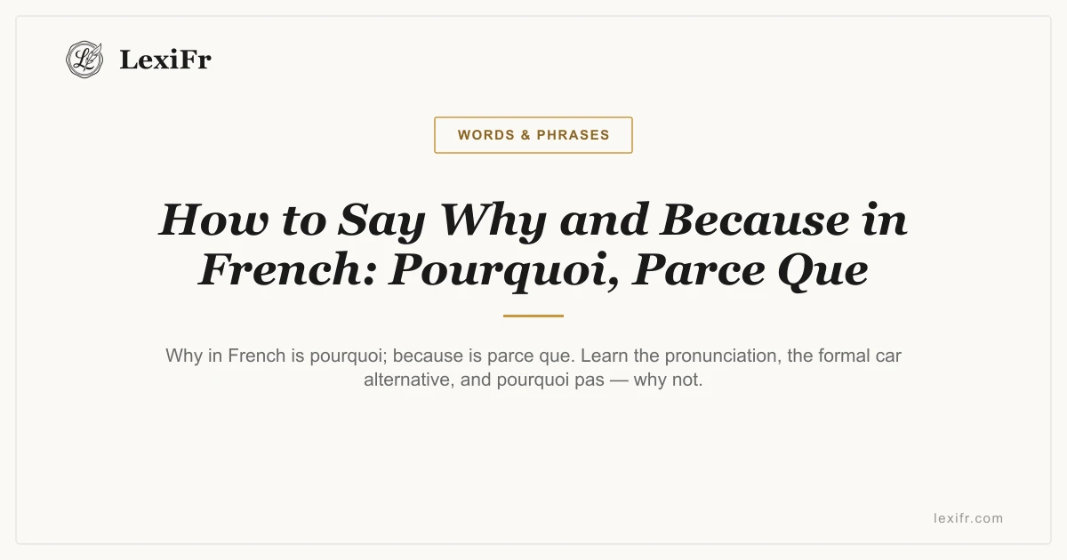 How to Say Why and Because in French: Pourquoi, Parce Que - article illustration