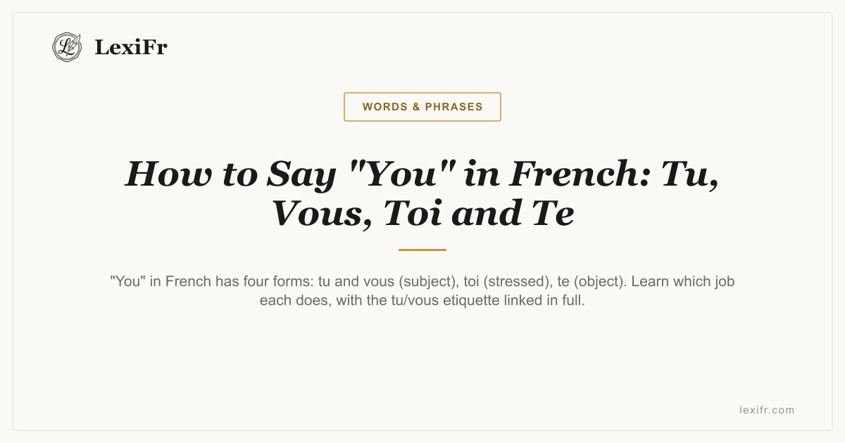 How to Say "You" in French: Tu, Vous, Toi and Te - article illustration