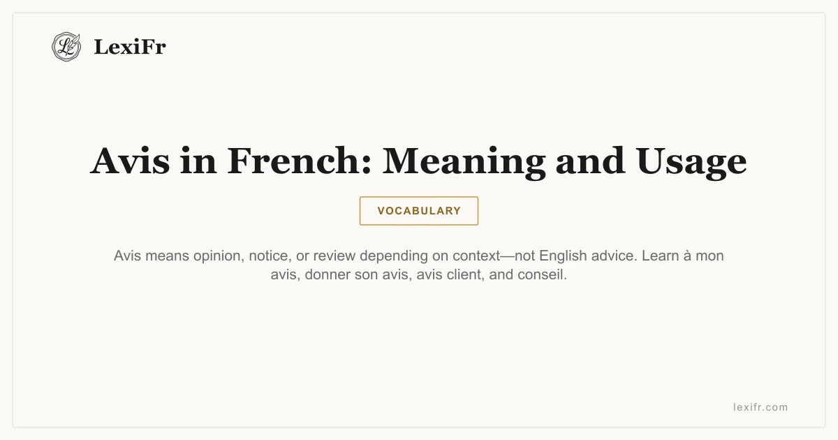 Avis in French: Meaning and Usage - article illustration