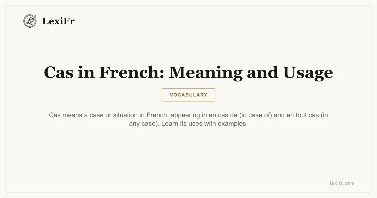 Cas in French: Meaning and Usage - article illustration