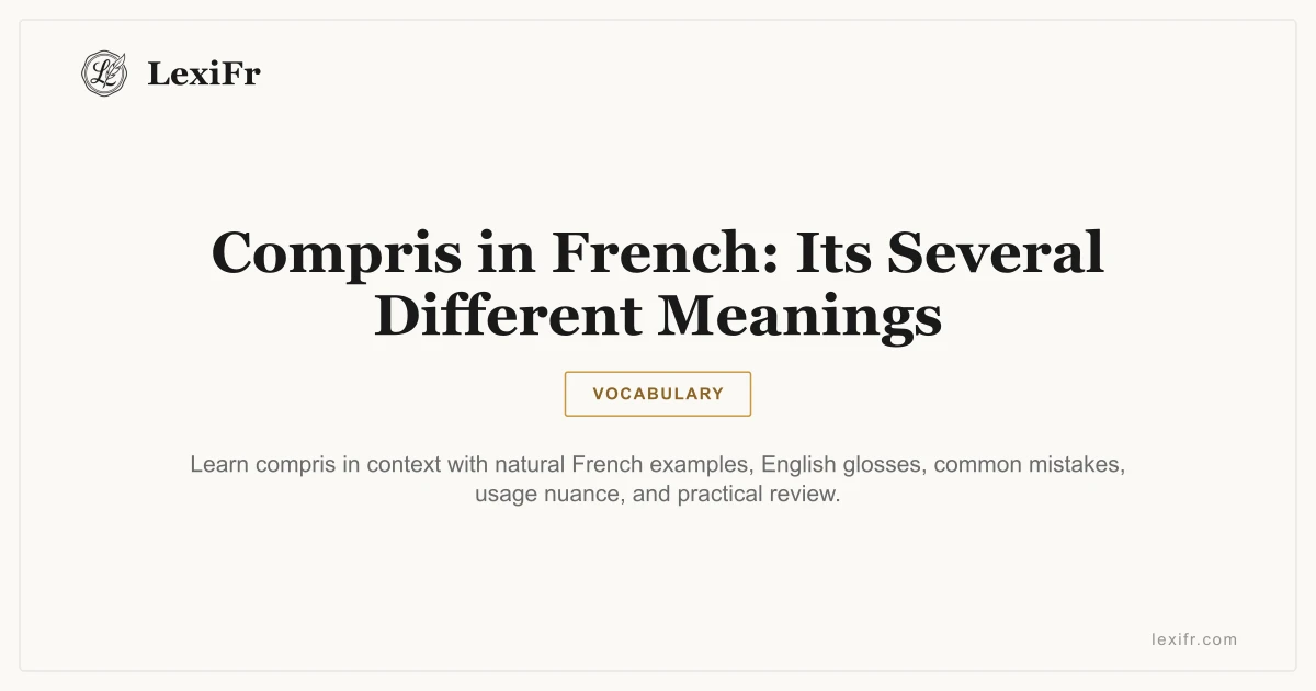 Compris in French: Its Several Different Meanings - article illustration