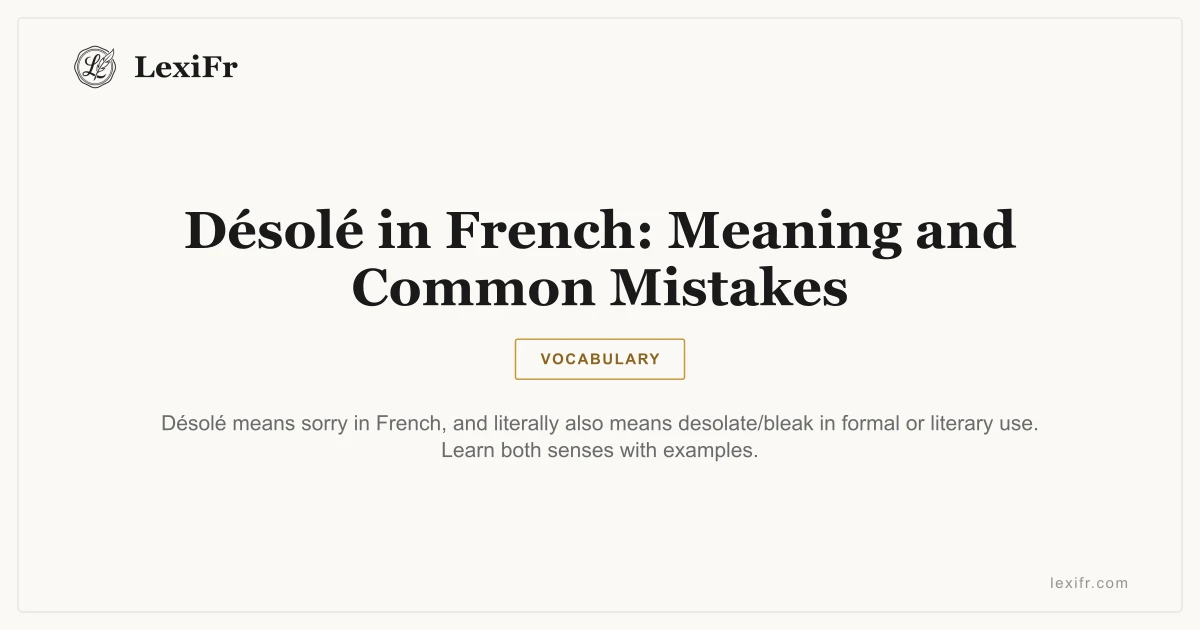 Désolé in French: Meaning and Common Mistakes - article illustration