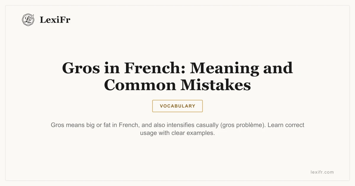 Gros in French: Meaning and Common Mistakes - article illustration