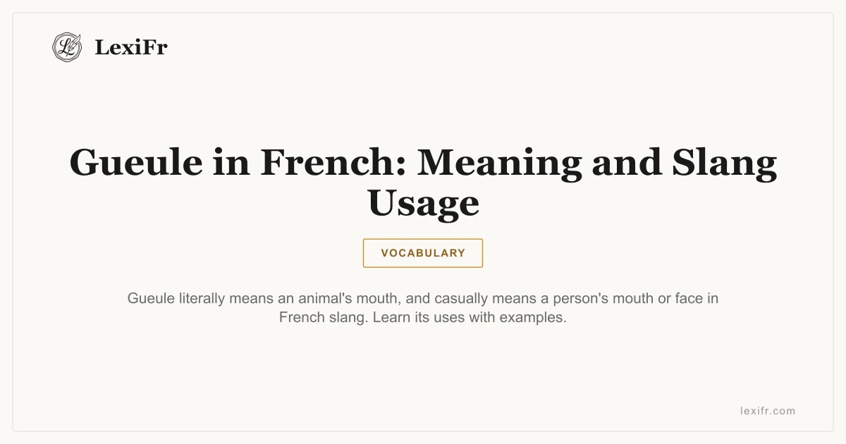 Gueule in French: Meaning and Slang Usage - article illustration