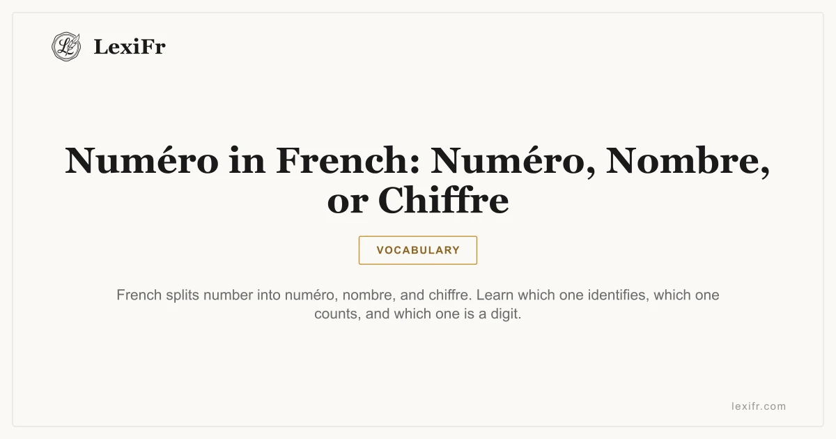 Numéro in French: Numéro, Nombre, or Chiffre - article illustration