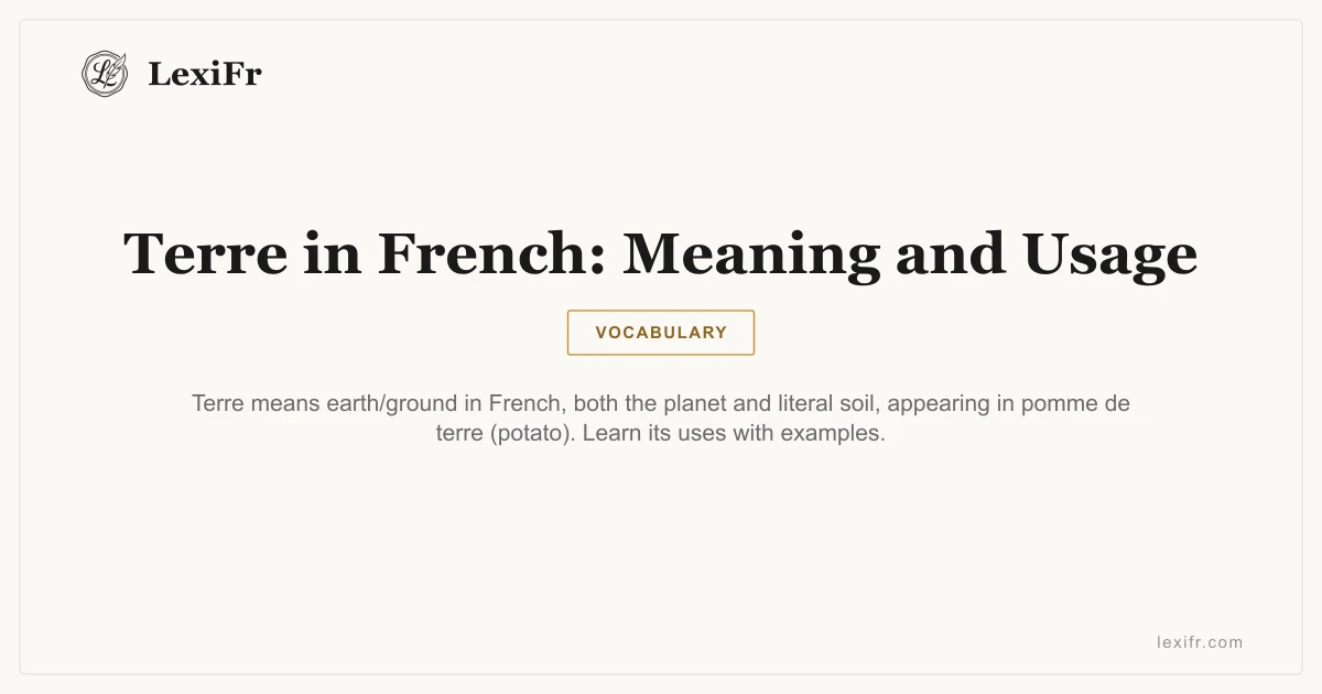 Terre in French: Meaning and Usage - article illustration