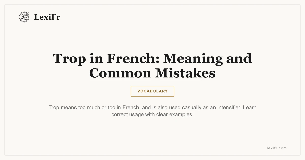 Trop in French: Meaning and Common Mistakes - article illustration